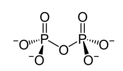 如图，焦磷酸根两个磷酸根共用一个氧原子，通过共价键相互连接，每个磷酸根离子则由中心的磷原子与环绕磷原子的4个氧原子（核自旋数为零）构成。两个磷酸根离子的核自旋（都来自于磷原子）纠缠在了一起，总共能形成四种不同的搭配方式：一种单态（singlet state，总自旋为0）和三重态（triplet state，总自旋为1）。在三重态下系统只能维持微弱的量子纠缠，而单重态下的系统能够最大程度地保证量子纠缠——这对于量子计算是必不可少的先决条件。