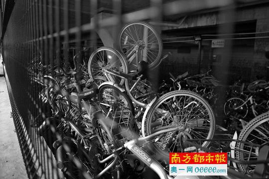 前日,深圳南山区欧环路桥底的南山区公共自行车仓库调度中心,大量共享单车被锁住。南都记者 赵炎雄 摄