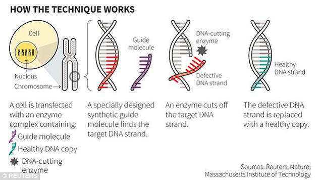 CRISPR-Cas9技术据称具有治愈癌症的潜力。该技术利用能识别出突变位点的标记，以及一种能在DNA特定位置精确剪切的酶，对某个基因进行部分移除。