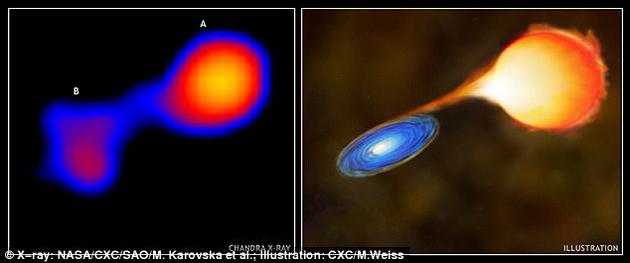 Mira A是一颗红巨星，Mira B是一颗白矮星。Mira A通过恒星风从顶层大气层快速损失气体，Mira B通过引力牵引，在两颗恒星之间形成一个气态桥梁。