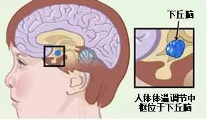 開腦洞！假設人類的正常體溫上升1度……