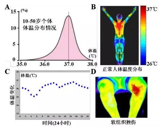人体温度波动变化范围