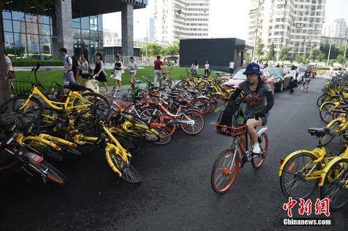 8月3日，北京街头的共享单车。中新社记者 侯宇 摄